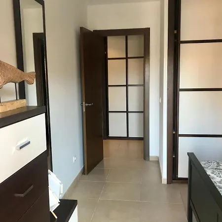 El Mocan Luxury 滨海帕尔姆
