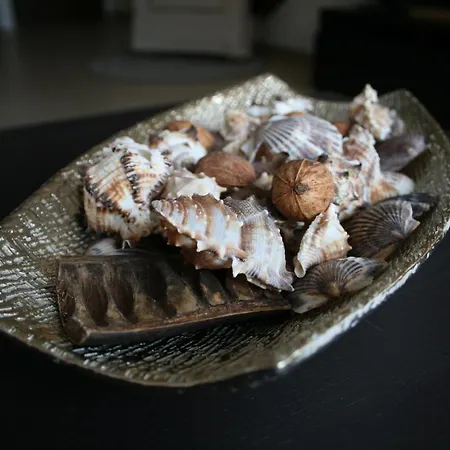 El Mocan Luxury Apartmán *