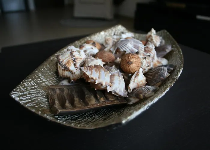 El Mocan Luxury Appartement *